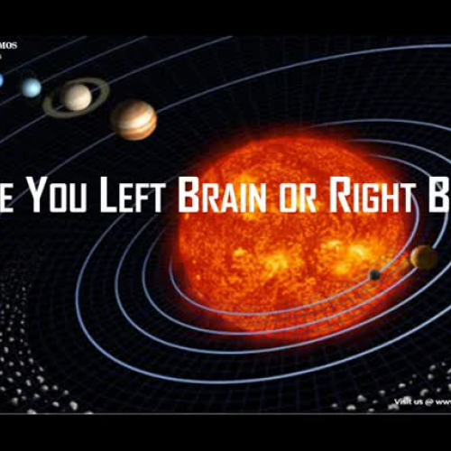 Are You Left Brain or Right Brain