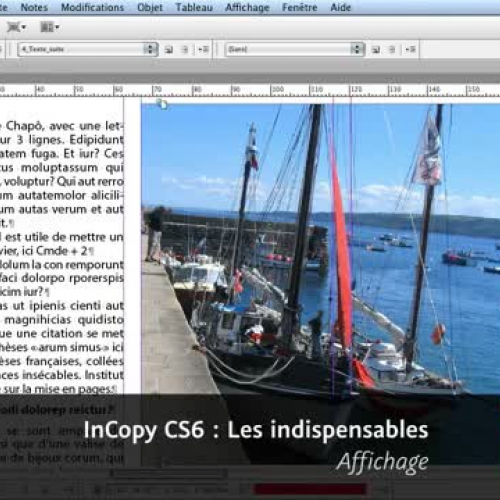 InCopy CS6 : Affichage