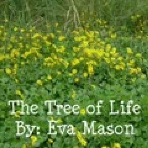 UCFvocabularydigitalstoryRED4043