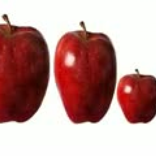 LAE 5337 Vocabulary Digital Story UCF Pantoja