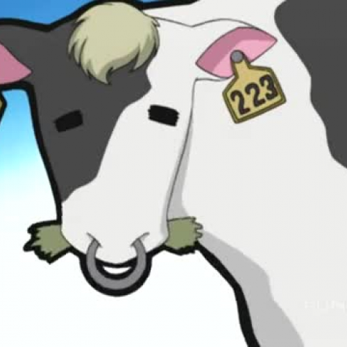 01 Chobits - 1 - Chi Awakens