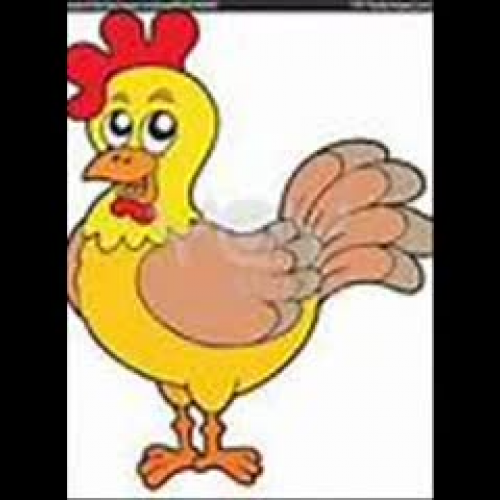 chicken_0001