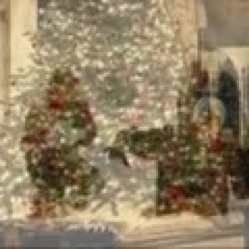 TMS Book Trailer cherish