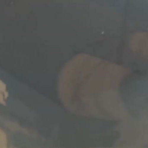 Patricia Wrede?s Closets