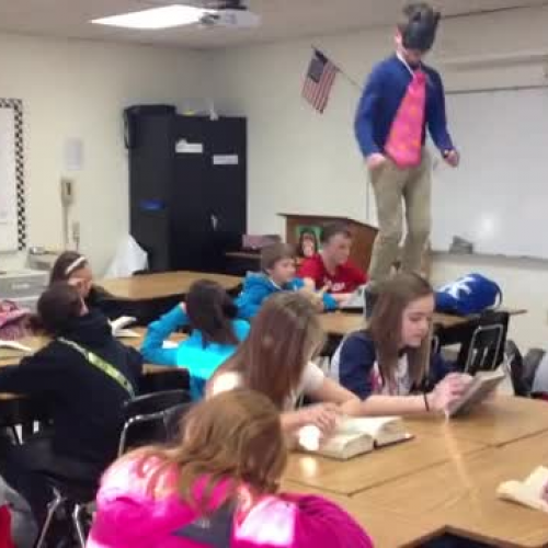 Cats Doing the Harlem Shake