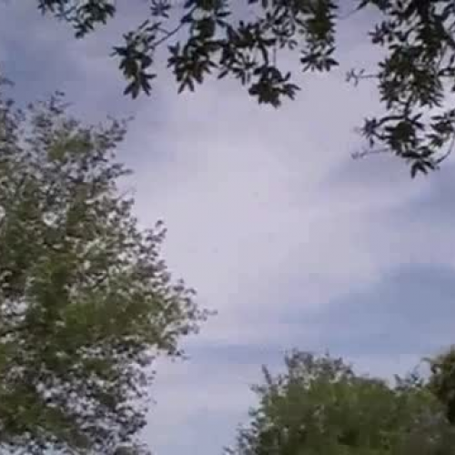 Last of the Mohicans Student Trailor