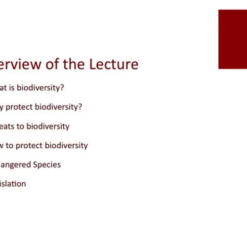 18A Biodiversity Lecture