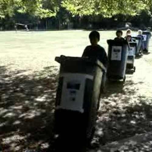 the rubbish bin walk
