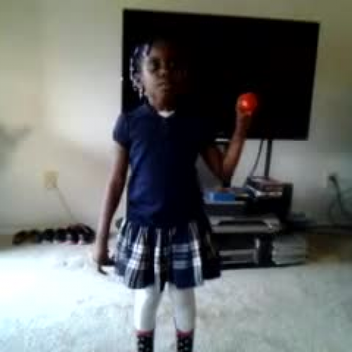 Mariska Project Presentation