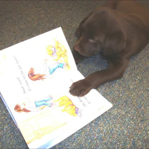 GISD Libraries Worth the Walk