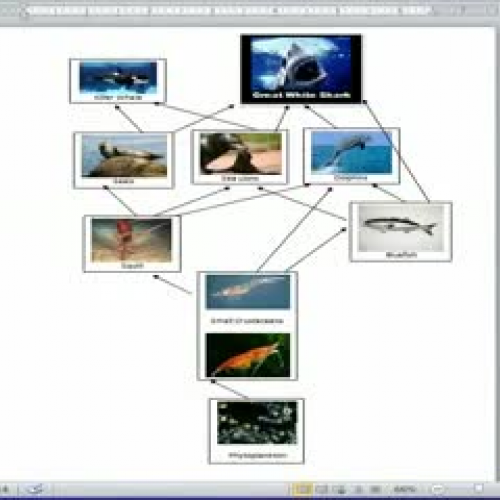How to Use Snipping Tool