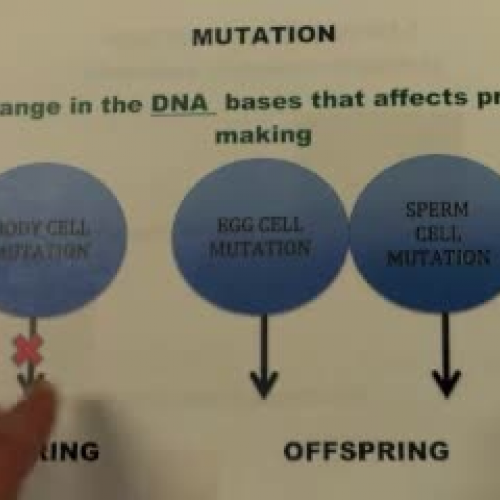mutationpaperslidevideo2