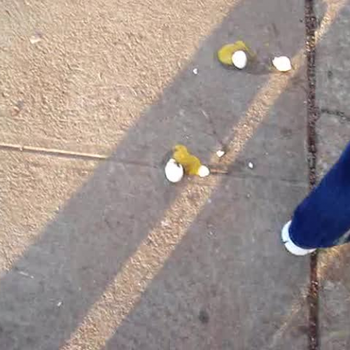 egg drop video_Barnes_2013
