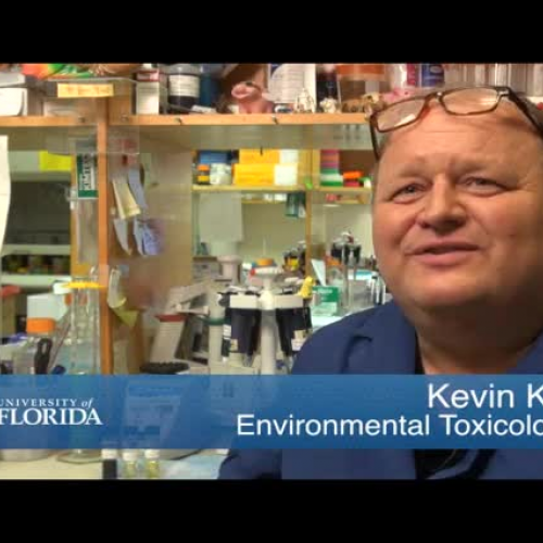 Why Science? Fish and Environmental Toxicology