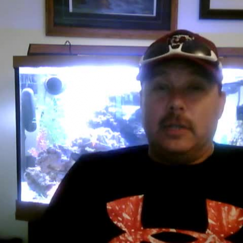 Ashford Introduction