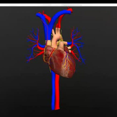 cyber-science heart