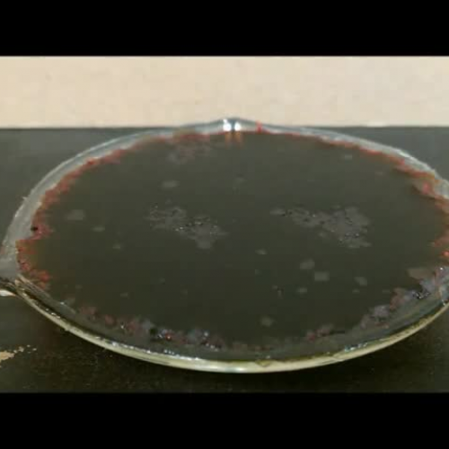 Time-Lapse Crystal Growth