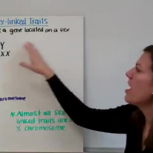 Sex linked Genetics