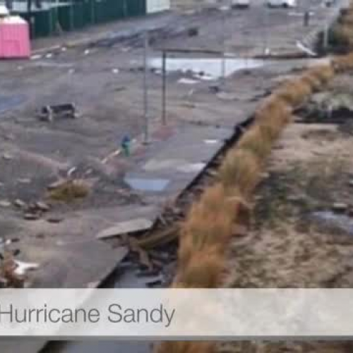 olmcsandy