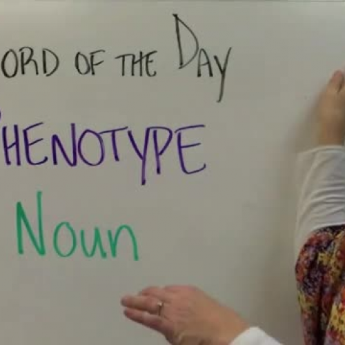 phenotypewod