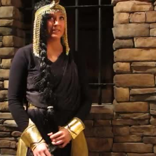 Harleigh’s Project