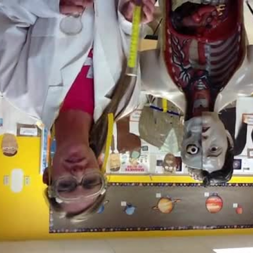 3rd Grade PBL _ Parker