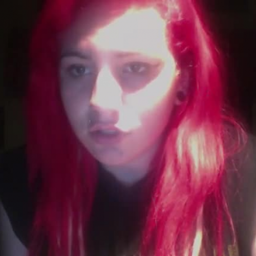 spanish describe the family 