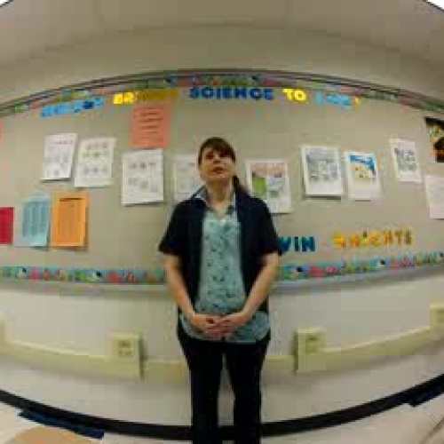 Muchoney Videos Ecology AVI