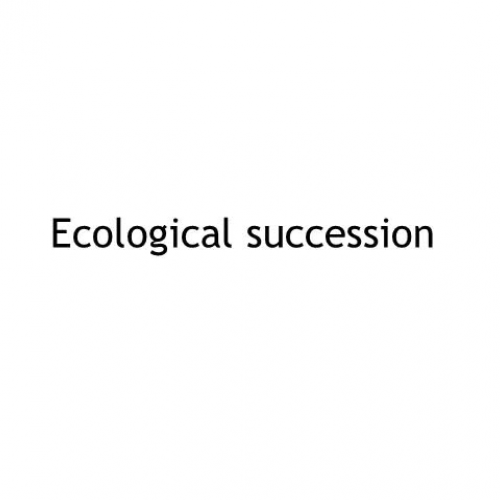 Ecological succession (flipped)