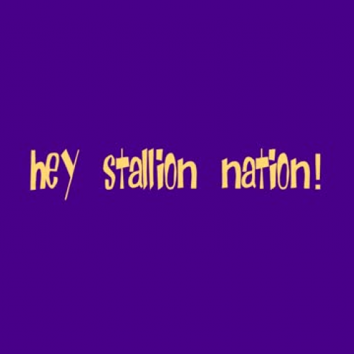 We are Stallions and We Know It