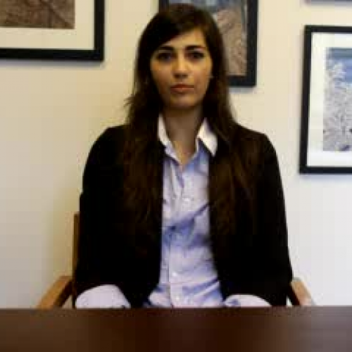 The criminal investigation and fraud arrest d