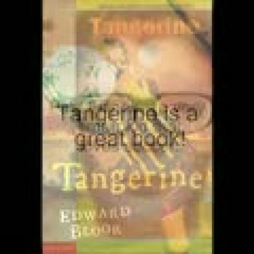 Tangerine book trailer