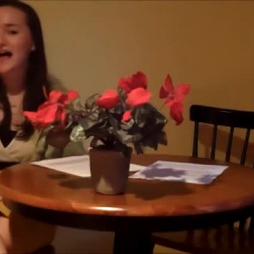 Mackenzie Young History Final 2013