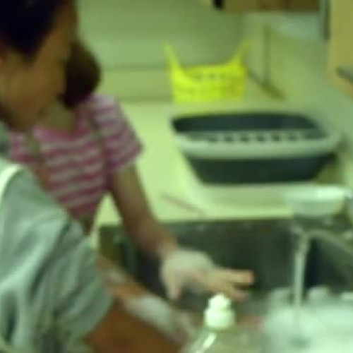 Goofy Dish Washing Video