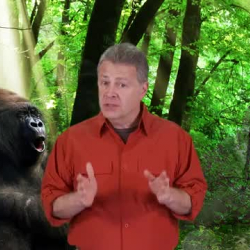 Recycled Cellphones = Saved Gorillas