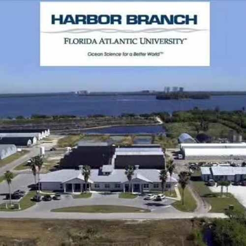 How Do You Build A Better Fish Farm?