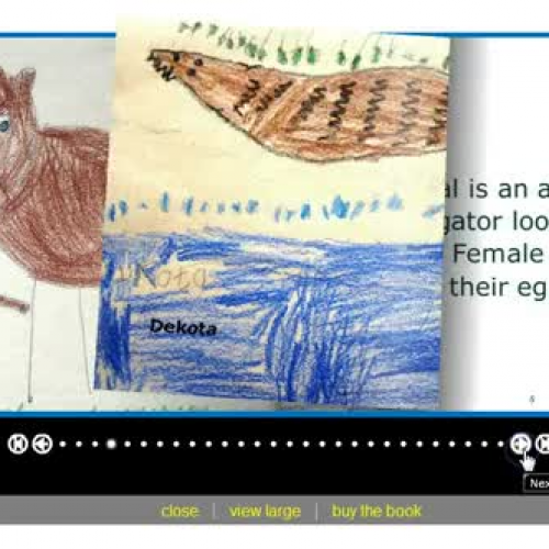 Kindergarten Research Story Jumper Screencast