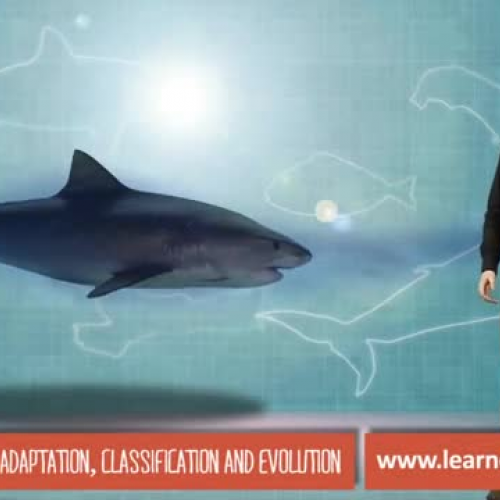 Adaption, classification and evolution: GCSE 