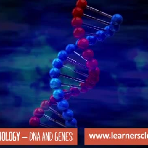 DNA and genes: GCSE Biology