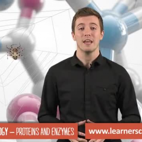 Proteins and Enzymes: GCSE Biology
