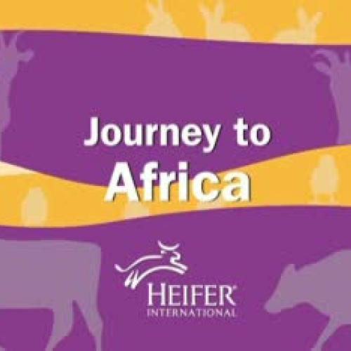 Heifer International: Africa