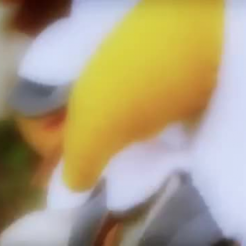 STEFANO MARTINELLI vs GUFO AMEDEO DJ