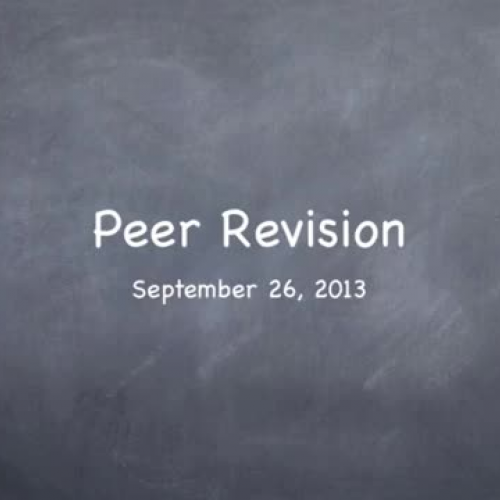 MSP Peer Revision and Final Drafts