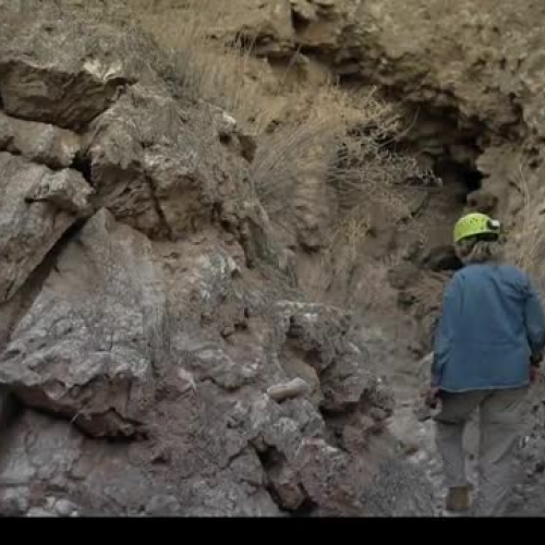 Extremophiles in Caves