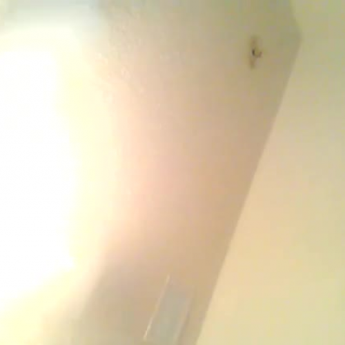 03.02 Describing the family Visual Presentati