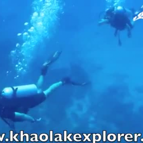 Similan islands Liveaboards with Khao Lak Exp