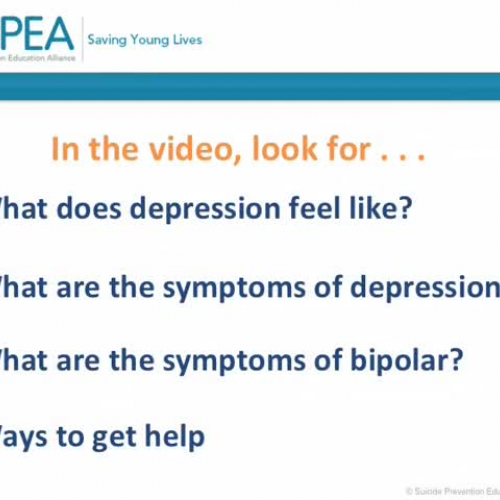 Module 3 - Day For Night