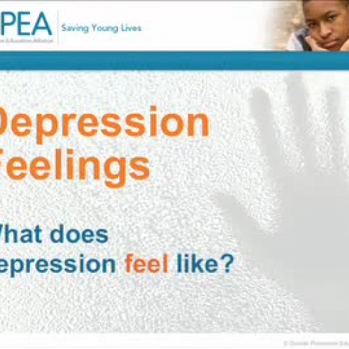 Module 4 - What Does Depression Look Like