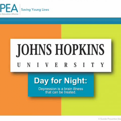 Module 5 - Causes of Depression