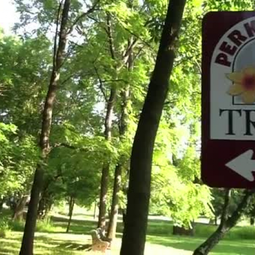 Romantic or Classic Perspective?  Personal Na